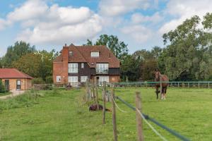 a horse standing in a field in front of a house at The Homestead by Bloom Stays in Canterbury