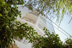 Φωτογραφία από το άλμπουμ του Hotel Cesaria στην Πράγια