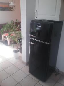 - un réfrigérateur noir dans une cuisine avec une plante dans l'établissement Seemöwe, à Bedekaspel