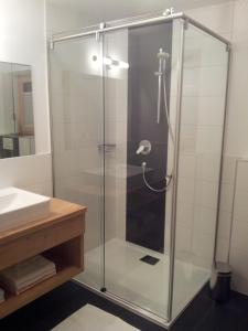 La salle de bains est pourvue d'une douche avec une porte en verre. dans l'établissement apArtment kAtrin & gerhArd, à Schwendau