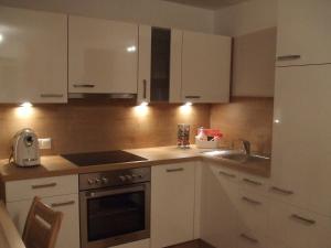 Kuchyň nebo kuchyňský kout v ubytování apArtment kAtrin & gerhArd
