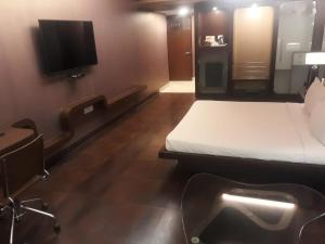 TV a/nebo společenská místnost v ubytování Cocoon Luxury Business Hotel
