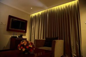 a living room with a chair and a television and curtains at Daamat Hotel in Addis Ababa