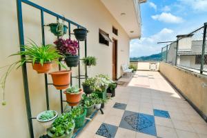 un balcone con piante in vaso su un edificio di Expeditor Kandy a Kandy