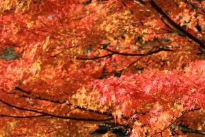 Fotografie z fotogalerie ubytování Twin-Line Hotel Karuizawa Japan v destinaci Karuizawa