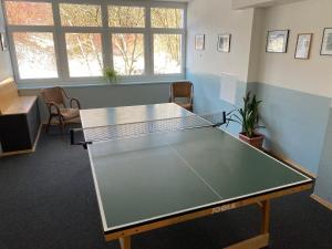 Stolní tenis v ubytování Hotel Lugsteinhof nebo okolí