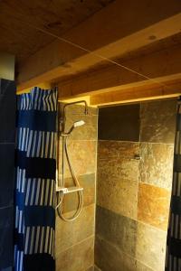 
a bathroom with a shower stall and a toilet at Hotel Alter Hafenspeicher in Stralsund
