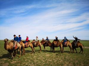 a group of people riding horses in a field at Vast Mongolia Tour Hostel & tours in Ulaanbaatar