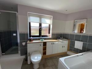 a bathroom with a toilet and a sink and a window at The Stable - 2 bed annexe, near Longleat in Warminster