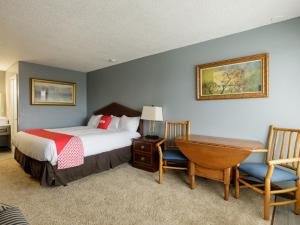 a bedroom with a bed and a desk and a table at OYO Hotel Branson MO-165 in Branson