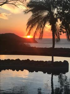 um pôr-do-sol com uma palmeira e o oceano em Bungle in the Jungle em Playa Panama