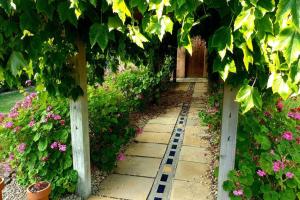 Bella Mia Tuscan Paradise外面的花园