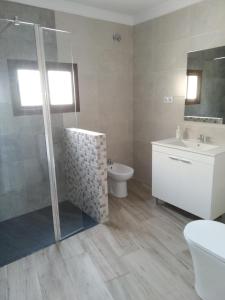 La salle de bains est pourvue d'une douche, de toilettes et d'un lavabo. dans l'établissement Apartamento Fregenal Centro R&S, à Fregenal de la Sierra