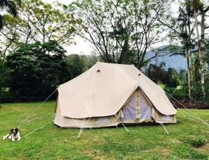 Příroda nedaleko luxury tent