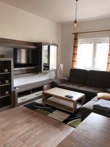 ein Wohnzimmer mit einem Sofa und einem Couchtisch in der Unterkunft Apartmán Monny in Frymburk