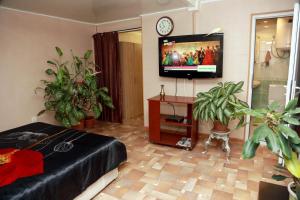 a living room with potted plants and a flat screen tv at Апартаменты в самом центре города Сухум in Sukhum