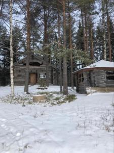 een blokhut in de sneeuw voor de bomen bij Kelola Cottage in Keyritty