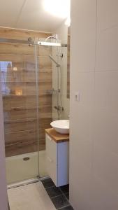 uma casa de banho com uma cabina de duche em vidro e um lavatório. em Farmhouse Lodge Giethoorn em Giethoorn