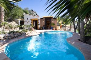 einen Pool im Hinterhof mit Palmen in der Unterkunft Casa Madre Tierra con jacuzzi piscina zona de barbacoa y preciosas vistas in Cómpeta