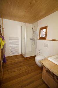 a bathroom with a shower and a toilet and a sink at Stadel Ritz in Niederwald