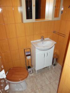 a bathroom with a toilet and a sink at Cottage Plavi Lav Potok in Potok +32 photos