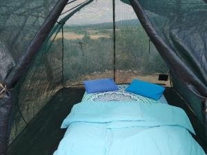 a bed in a tent with two blue pillows at Amber Lagoon Backpackers Lodge in Vleirivier +86 photos