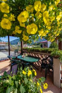 Fotografia z galérie ubytovania Apartment Sovdat v destinácii Tolmin