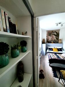 een kamer met een bed en planken met boeken bij " LA BIENVENUE " in Ploemeur