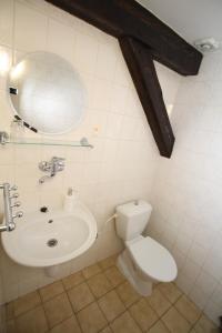 ein Badezimmer mit einem WC, einem Waschbecken und einem Spiegel in der Unterkunft Penzion u Blanice in Husinec