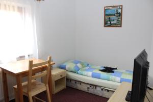 Zimmer mit einem Bett, einem Schreibtisch und einem TV in der Unterkunft Penzion u Blanice in Husinec