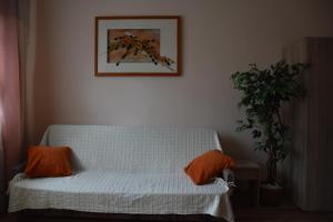 サンドミエシュにあるMieszkanie przy Parkuのリビングルーム(白いソファ、オレンジ色の枕付)
