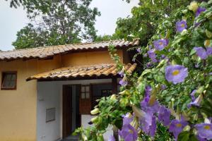 a house with purple flowers in front of it at CHALÉS MUCIOS in Serra do Cipo