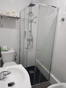 uma casa de banho com um chuveiro, um lavatório e um WC. em A casa de Mateo em Ribadavia