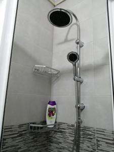 a shower in a bathroom with a glass shower stall at Apartman Vesna in Banja Koviljača +11 photos