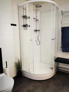 a bathroom with a shower and a toilet at Lofoten, Markveien Villa in Kabelvåg +37 photos
