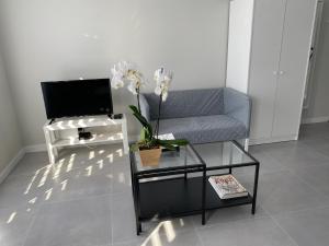 a living room with a couch and a coffee table at APARTAMENT OŚ. BŁĘKITNE 10H in Dzierżoniów