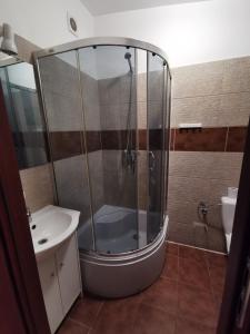 a bathroom with a shower and a sink and a toilet at Karczma KOSZARKA in Ploski