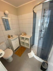 a bathroom with a shower and a toilet and a sink at APARTAMENT OŚ. BŁĘKITNE 10H in Dzierżoniów +2 photos