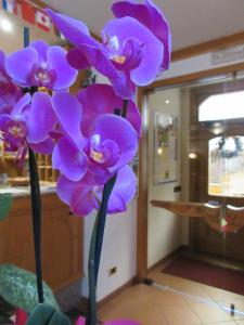 Fotografie z fotogalerie ubytování Albergo Lucia v destinaci Tesero