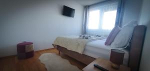 sypialnia z łóżkiem z oknem i dywanem w obiekcie Apartment Mia -V w Zagrzebiu