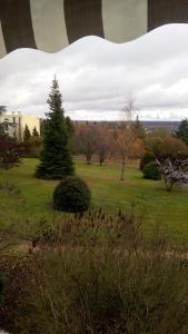 a green field with a christmas tree in the distance at Appartement pres de beauval et des châteaux in Montrichard