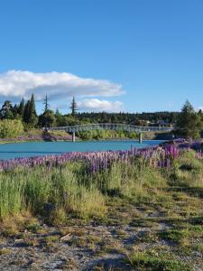 Galeriebild der Unterkunft Stay In Tekapo Backpackers in Lake Tekapo