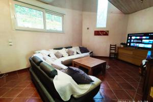 ein Wohnzimmer mit 2 Sofas und einem TV in der Unterkunft La Villa Moursoise 4 Etoiles in Mours-Saint-EusÃ¨be