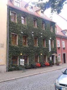 a building covered in ivy on the side of a street at Zum Alten Krug in Naumburg