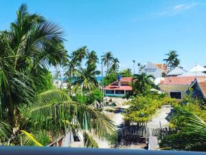 班塔延島的住宿－Solsken Guest House，享有棕榈树海滩和大楼的景色