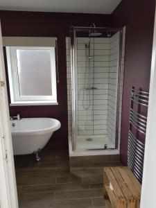 ein Badezimmer mit einer Dusche, einer Badewanne und einem Waschbecken in der Unterkunft Spitfire in Boston