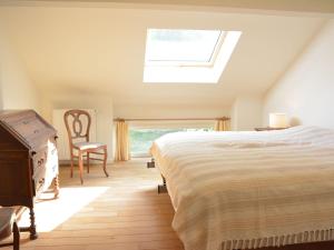 1 dormitorio con 1 cama y tragaluz en Beautiful Ardennes house in quiet area en Sainte-Ode