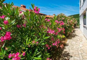 een tuin met roze bloemen naast een gebouw bij Apartments Eugen 2024 in Rabac