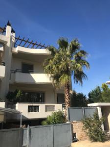 a palm tree in front of a white house at Riviera Pool Villa - Golf Athens in Athens