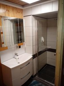 ein Bad mit einem Waschbecken und einer Dusche in der Unterkunft Gasthof Pisl in Krumpendorf am Wörthersee